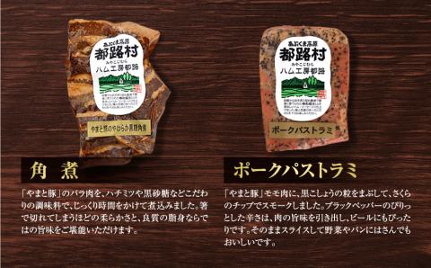 【奇数月にお届け全6回】 ハム ・ ベーコン ・ ソーセージ 詰合せ 定期便 セット やまと豚 DLG 金賞 おかず 焼くだけ のし 熨斗 ギフト お歳暮 プレゼント 人気 ランキング おすすめ 福島