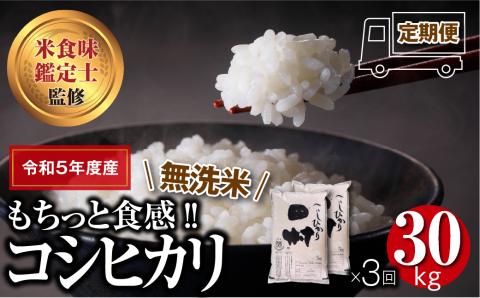 令和5年産】 【無洗米】 田村産 定期便 3回 コシヒカリ （5kg × 2袋） 計 10kg ギフト 贅沢 のし対応 １週間以内発送 福島 田村  お米マイスター 匠 食味鑑定士 安藤米穀店: 田村市ANAのふるさと納税