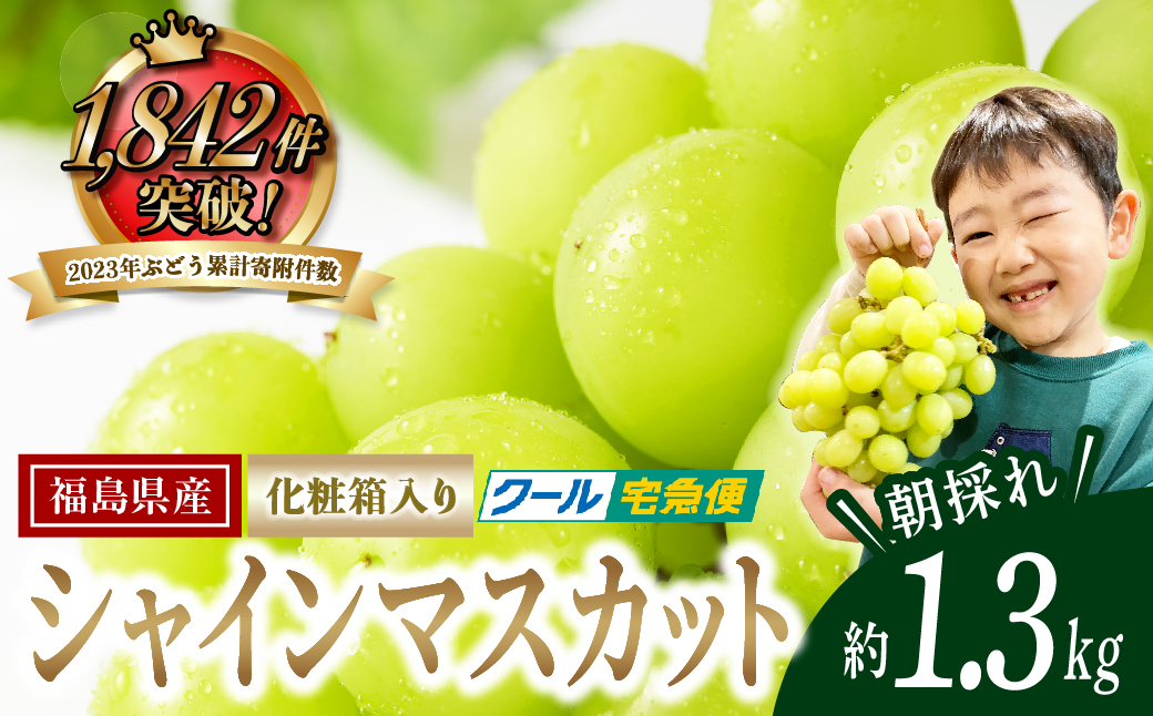 【 先行予約 2025年発送 】 シャインマスカット 1.3kg 2房 冷蔵 高級 種無し 種なし ブドウ ぶどう 品種 果物 甘さ 香り 美味しい 食べ方 人気 ランキング おすすめ 家庭用 福島県 田村市 N046-002
