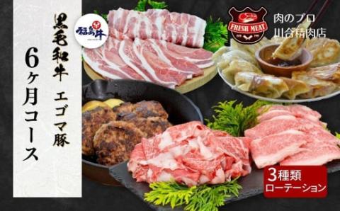 ＼毎月2種お届け 6回定期便／ 黒毛和牛 エゴマ豚 牛肉 豚肉 お肉 精肉 切り落とし 牛バラ 豚バラ 豚ロース ハンバーグ 冷凍餃子 冷凍 定期便 焼肉 すき焼き しゃぶしゃぶ パック 小分け ギフト 贈答 プレゼント 熨斗 のし 福島県 田村市 川合精肉店