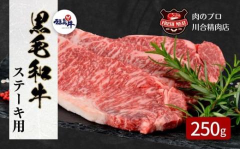 【 福島牛 】 黒毛和牛 サーロインステーキ用 250g 1枚 ステーキ肉 冷凍保存 肉 牛肉 焼肉 ステーキ 旨味 ぎゅう ギュウ 250G 人気 ランキング おすすめ グルメ ギフト 故郷 福島県 田村市 福島 田村 ふくしま 川合精肉店