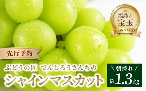 先行予約】 ＼バイオレットキング 750g 前後／ 1房 冷蔵 高級 種無し 種なし シャインマスカット ブドウ ぶどう 品種 果物 甘い 巨峰  美味しい 希少 田村市 たむら 鈴木農園 でんじろうさん: 田村市ANAのふるさと納税