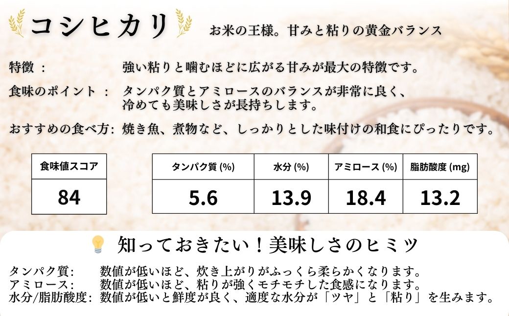 コシヒカリ 米 50kg ( 5kg ×10月)  | 令和7年産米 白米 コメ こめ 福島 渡部有機農園 【120811-001-06】