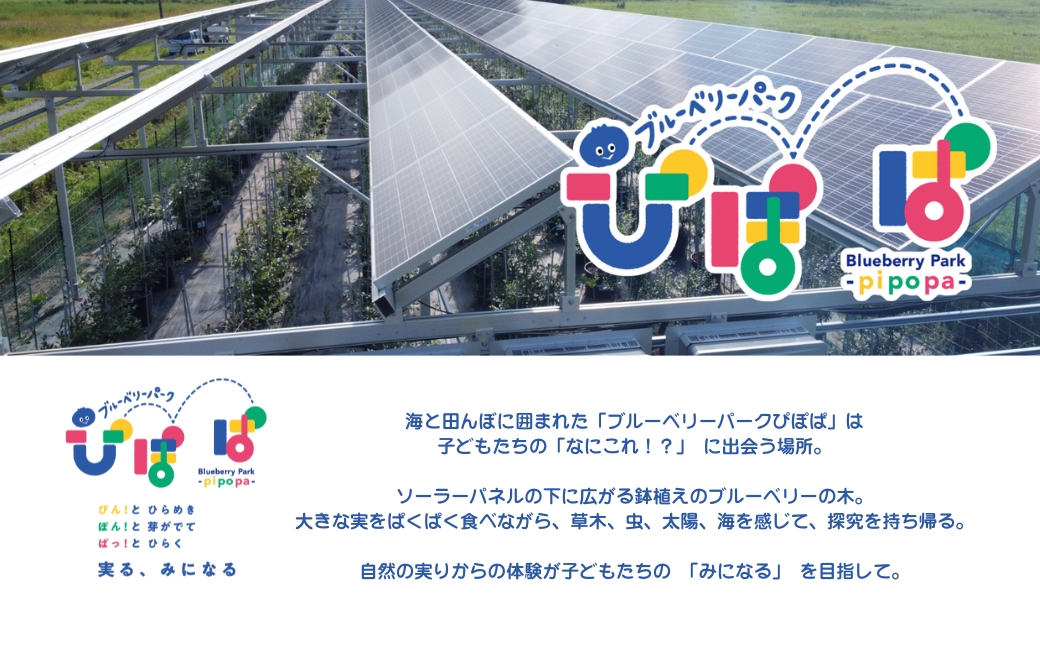 ブルーベリーパーク ぴぽぱ ペアチケット ブルーベリー 狩り 2名 体験 入園券 無料券 夏季限定【121237-001】