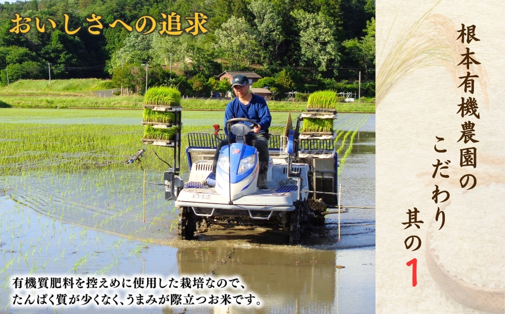 JAS有機米 天のつぶ 米5kg | 令和7年産 根本有機農園【53870-002-02】