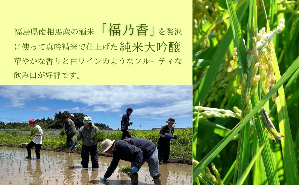 お米と日本酒のセット つきあかり5kg・日本酒soma 純米大吟醸 720ml | アグリロード【33018】