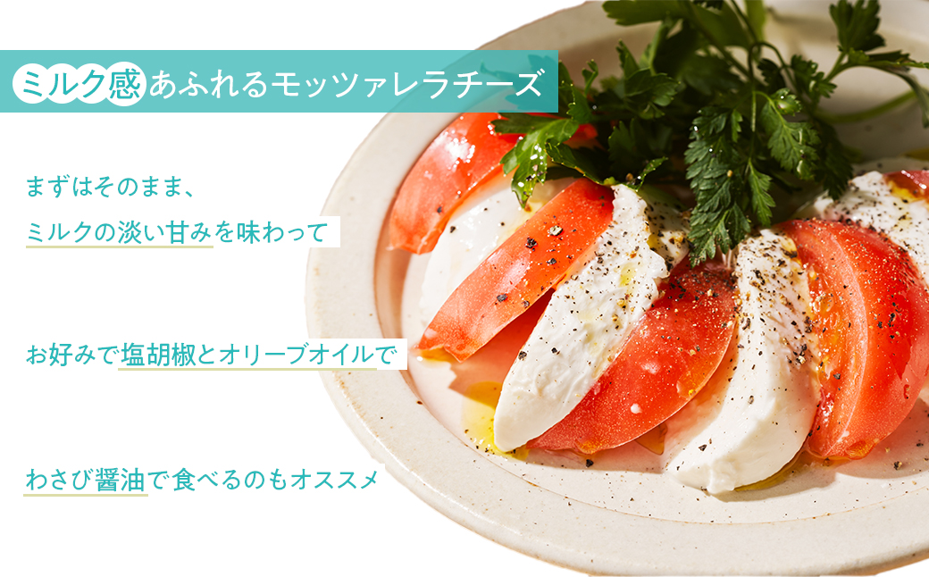 手作りモッツァレラチーズ　福島　南相馬市産【6100101】