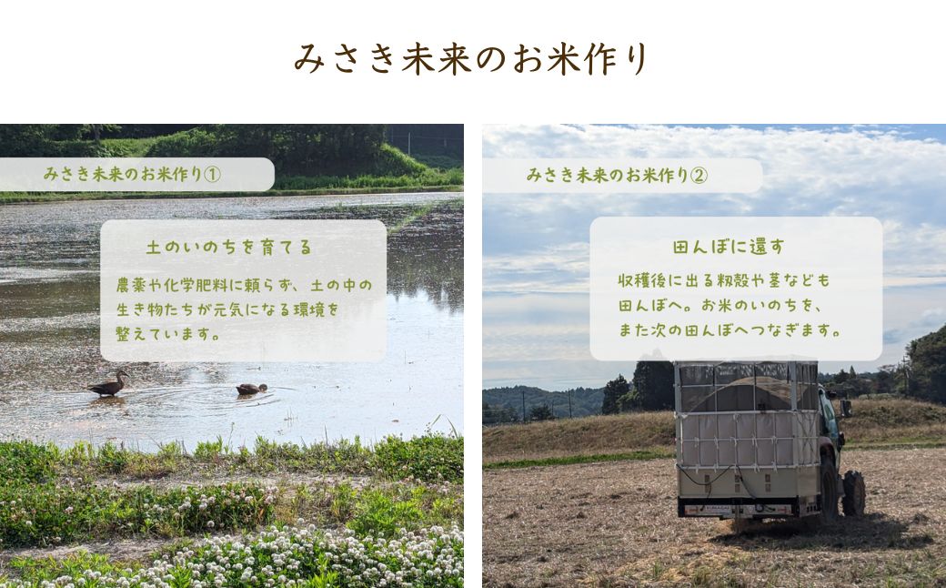 【先行予約】【3か月定期便】つきあかり 白米 15kg (5kg×3回) 令和8年産 | 栽培期間中農薬・化学肥料不使用 精米 お米 米 こめ コメ 福島産 福島県産 南相馬市 みさき未来 つきあかり co026-ad
