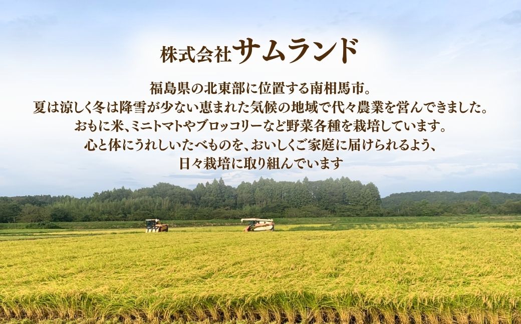 【先行予約】【定期便】にじのきらめき 玄米 45kg (5kg×9回) | 令和8年産 サムランド cu010-ae