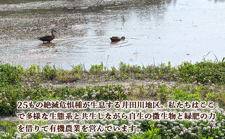 天のつぶ 白米 5kg 有機的栽培 令和7年産 | みさき未来【121237-005-01】