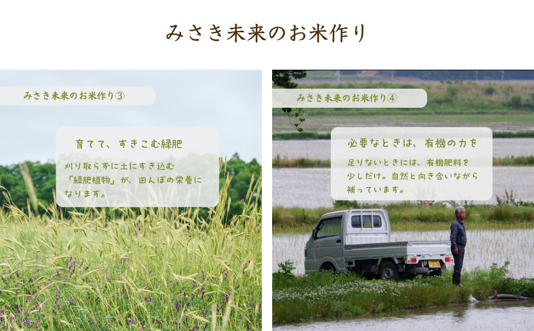 【令和8年産米 先行予約】【定期便】JAS有機米 令和8年産 にじのきらめき 玄米 5kg×6回 | みさき未来【121237-009-08】