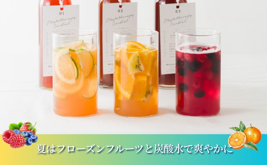 フィトテラピー コーディアル 02 285ml×1本 | ハーブ ヴァンルージュ エルダーフラワー エキナセア オレンジフラワー やまさん 【133715-001-02】
