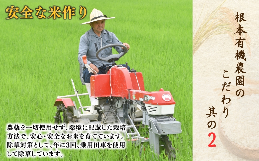 JAS有機米 天のつぶ 米2kg | 令和7年産 根本有機農園【53870-002-01】