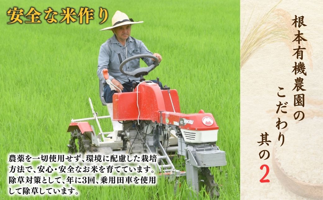 【毎月定期便】 JAS有機米 天のつぶ 玄米 5kg×3回 令和7年産 | 根本有機農園【53870-002-15】