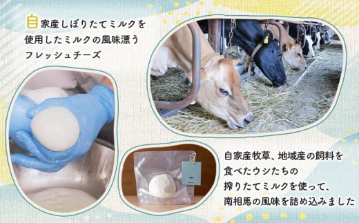 手作りモッツァレラチーズ　福島　南相馬市産【6100101】