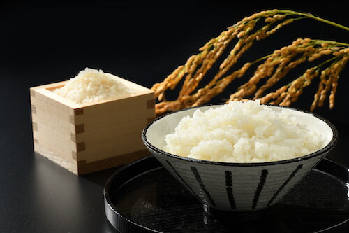 令和7年産米 無洗米 コシヒカリ＋天のつぶ 10kg(5kg×2種) 高ライスセンター【53845-002-01】