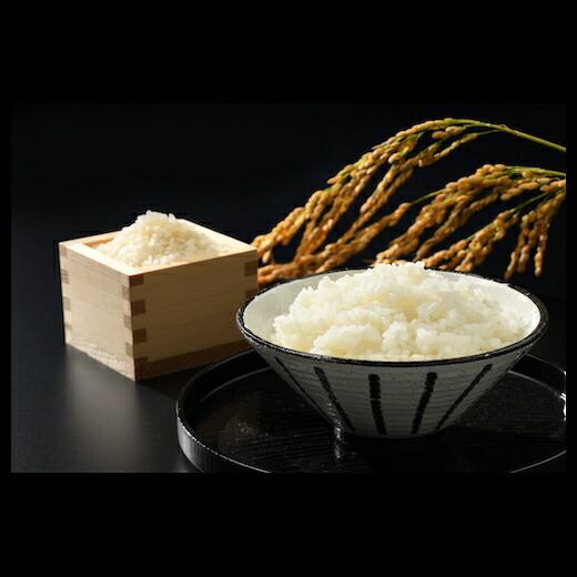 令和7年産米 無洗米 天のつぶ 10kg(5kg×2袋) 高ライスセンター【53845-002-03】