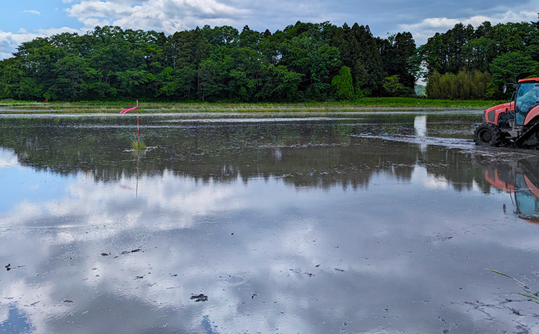 天のつぶ 白米 5kg 有機的栽培 令和7年産 | みさき未来【121237-005-01】