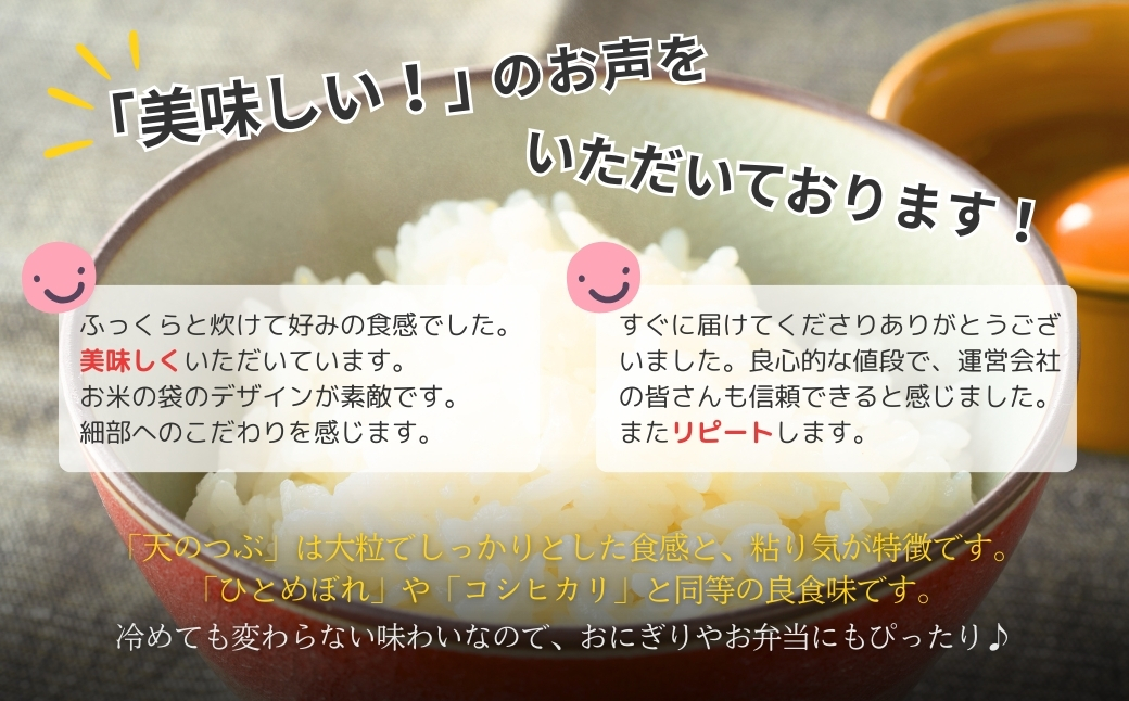 パックごはん 150g×24個 天のつぶ パックライス パックご飯 レンチン ブランド米 米 白米 精米 時短 ご飯 ライス 備蓄 防災 福島県南相馬産 [0400301]