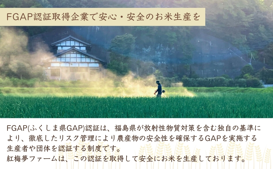 天のつぶ 新世代 米2kg | 令和7年産米 紅梅夢ファーム【53844-001-01】