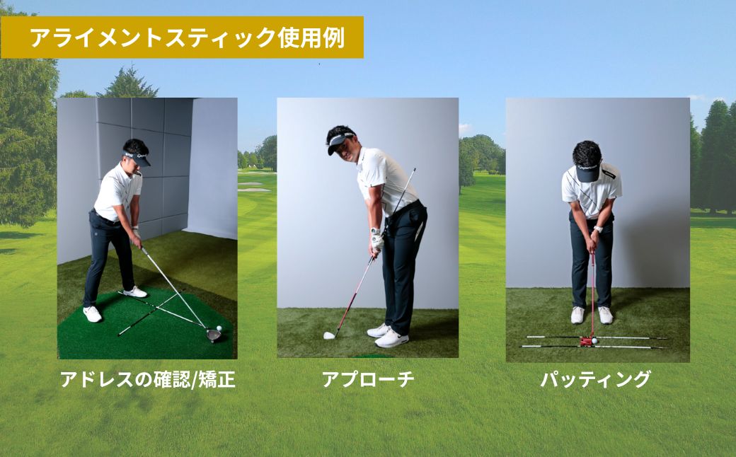 SPEEDER NX GOLD アライメントスティック 2本 ＋ 専用カバー付き | ゴルフ スイング スウィング 練習 トレーニング Fujikura フジクラ 藤倉