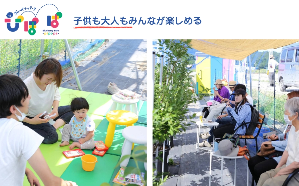 ブルーベリーパーク ぴぽぱ ペアチケット ブルーベリー 狩り 2名 体験 入園券 無料券 夏季限定【121237-001】