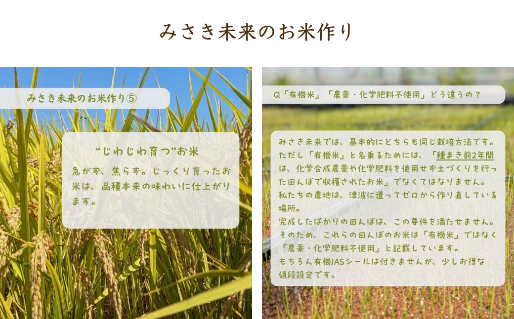 有機JAS米 令和7年産 新米 にじのきらめき 玄米 5kg | みさき未来【121237-009-03】