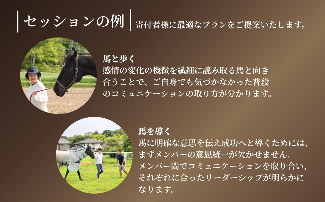 ホースミラーリングセッション 1名様 ｜ 乗馬 馬とのふれあい 研修 自己研鑽 自己内省 チームビルディング【148563-001】