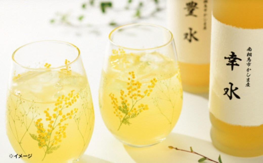 和梨ジュース 豊水・幸水 果汁100％ 500ml×2種【3600201】