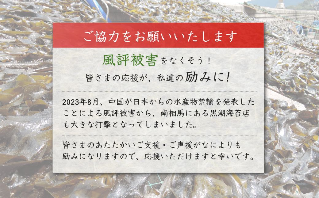 わさびのり 384枚 48袋(4袋×12個)｜味付け海苔 大容量パック サンエイ海苔 黒潮海苔店【53841-005-01】
