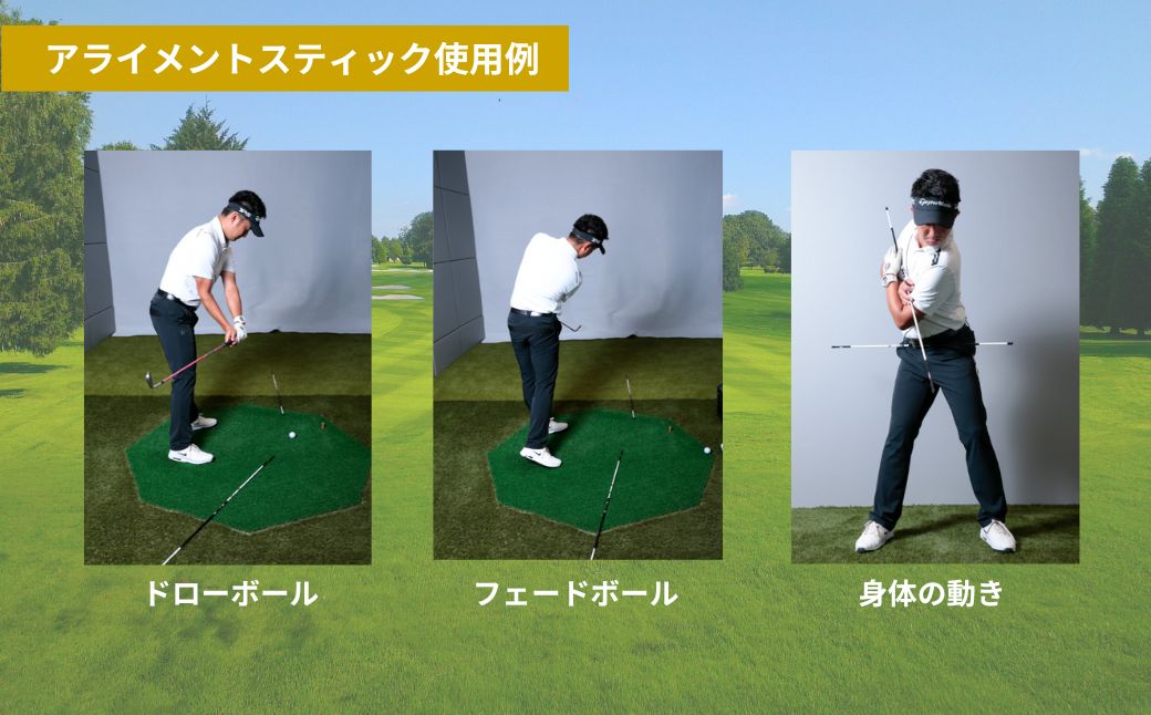 SPEEDER NX GOLD アライメントスティック 2本 ＋ 専用カバー付き | ゴルフ スイング スウィング 練習 トレーニング Fujikura フジクラ 藤倉