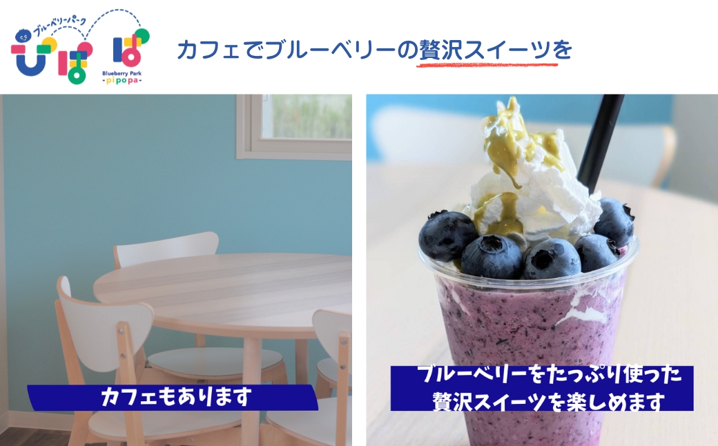 ブルーベリーパーク ぴぽぱ ペアチケット ブルーベリー 狩り 2名 体験 入園券 無料券 夏季限定【121237-001】