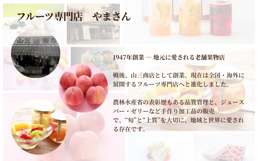 フィトテラピー コーディアル 02 285ml×1本 | ハーブ ヴァンルージュ エルダーフラワー エキナセア オレンジフラワー やまさん 【133715-001-02】