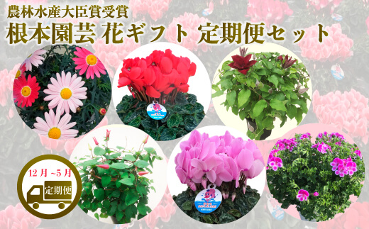 【先行予約】花ギフト定期便 6ヶ月(12～5月)｜花定期便 根本園芸【53850-014-02】 色：おまかせ 毎月お送り