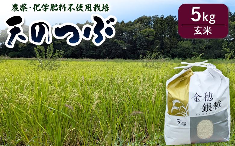 天のつぶ 玄米 5kg 農薬・化学肥料不使用 令和7年産 | みさき未来【121237-005-03】
