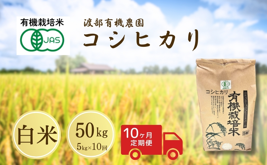 コシヒカリ 米 50kg ( 5kg ×10月)  | 令和7年産米 白米 コメ こめ 福島 渡部有機農園 【120811-001-06】