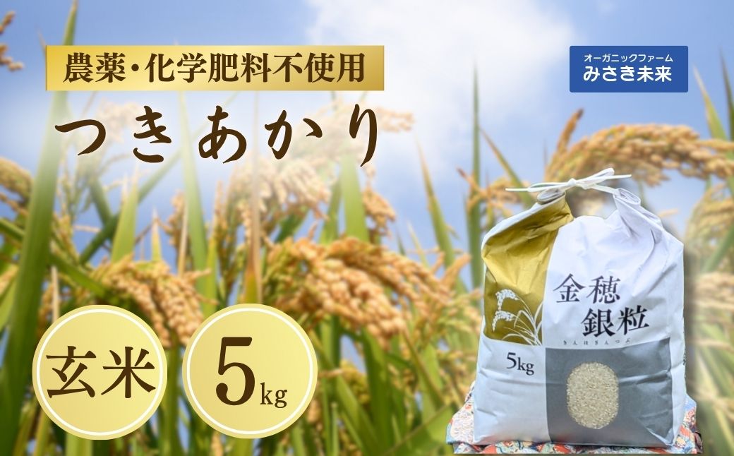 令和7年産 新米 つきあかり 玄米 5kg 栽培期間中の農薬化学肥料不使用 | みさき未来【121237-006-03】