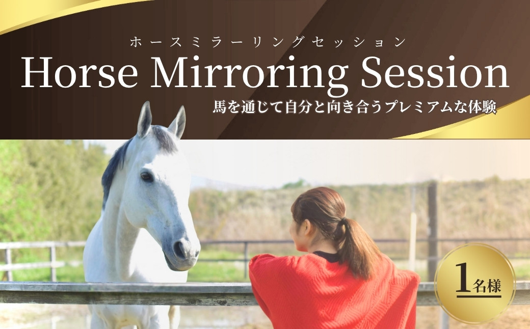 ホースミラーリングセッション 1名様 ｜ 乗馬 馬とのふれあい 研修 自己研鑽 自己内省 チームビルディング【148563-001】