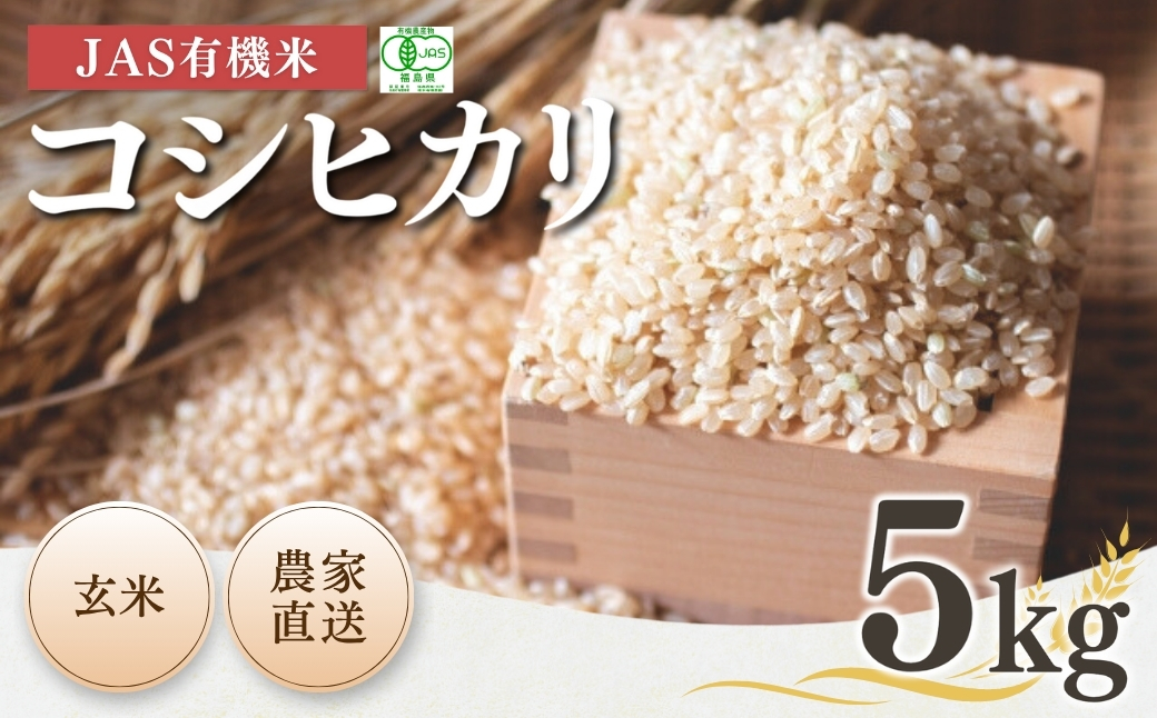 JAS有機米 コシヒカリ 玄米 5kg | 令和7年産 根本有機農園【53870-001-11】
