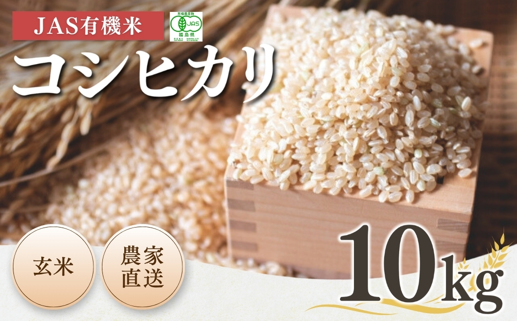 JAS有機米コシヒカリ 玄米10kg | 令和7年産 根本有機農園【53870-001-12】