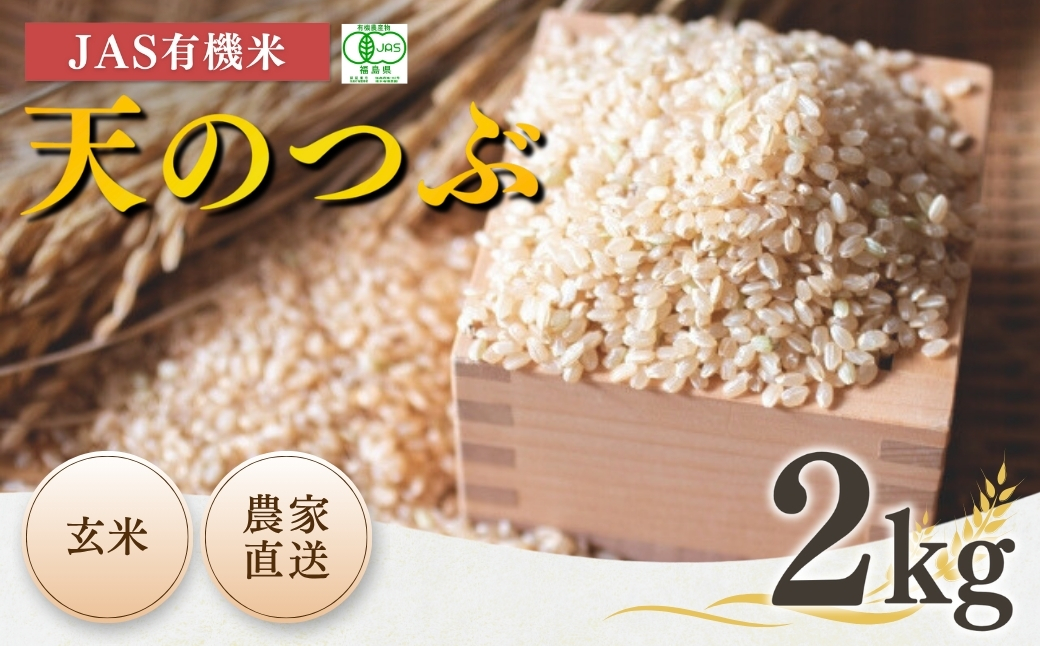 JAS有機米 天のつぶ 玄米2kg | 令和7年産 根本有機農園【53870-002-10】