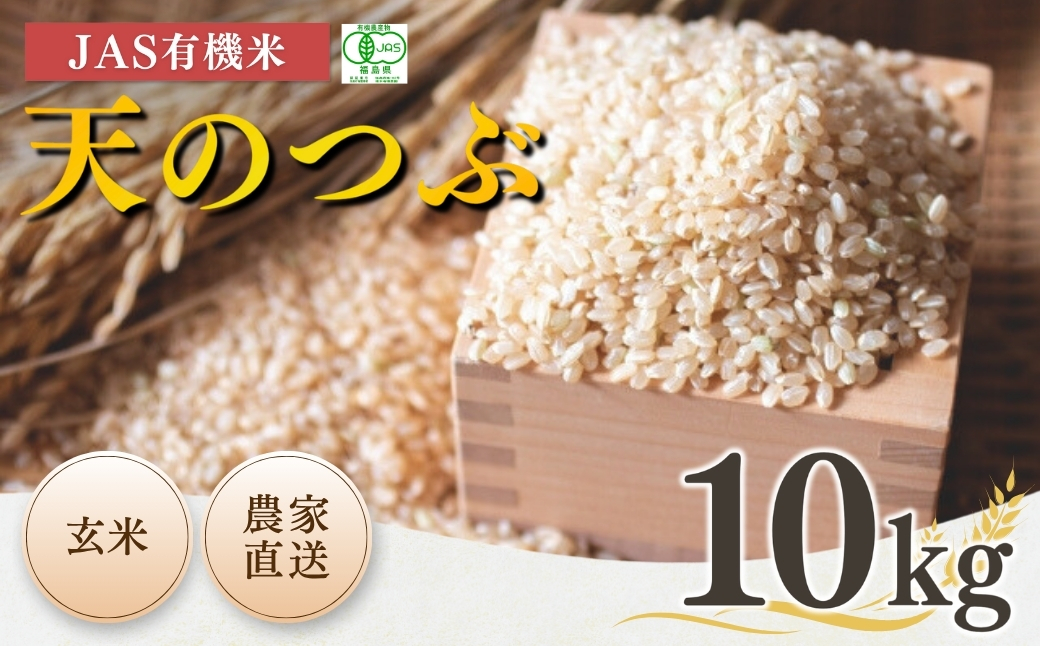 JAS有機米 天のつぶ 玄米10kg | 令和7年産 根本有機農園【53870-002-12】