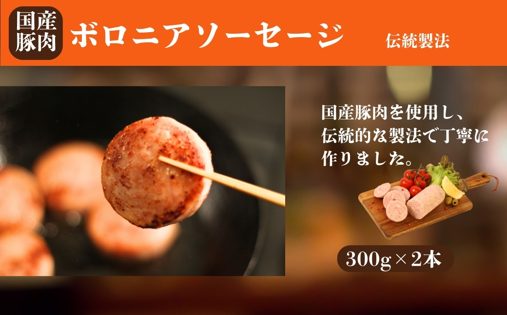 国産豚肉 ソーセージ3種セット 920g (ボロニア300g×2本 / チョリソー160g / あらびき160g) | ウィンナー ギフト 贈答用 国産 豚肉 冷凍 福相食品工業 福島 南相馬【53842-006】