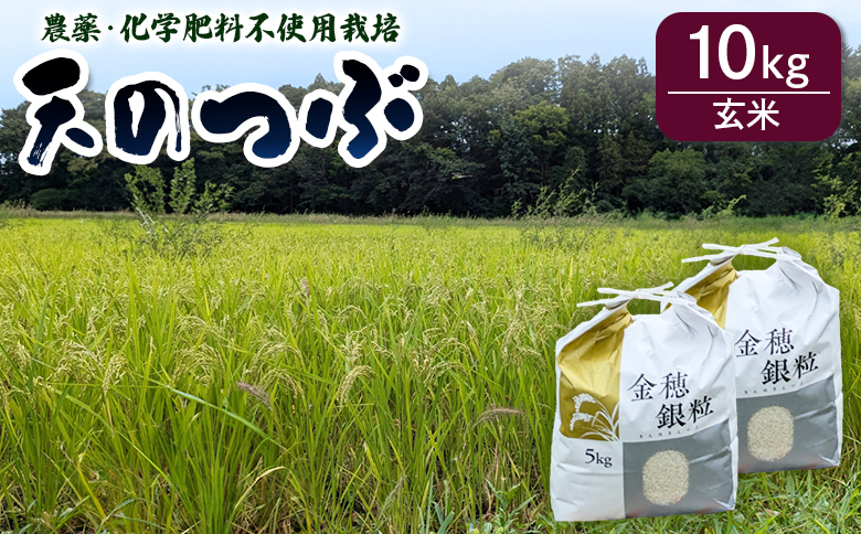 [先行予約]天のつぶ 玄米 10kg 有機的栽培 令和7年産 | 無農薬 農薬不使用 化学肥料不使用 玄米 福島産 福島県産 南相馬 みさき未来[121237-005-04]