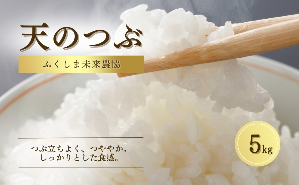 令和7年産 天のつぶ 白米 5kg | 精米コメ ごはん ブランド米 大粒 福島 福島県産 南相馬 ふくしま未来農協 JA