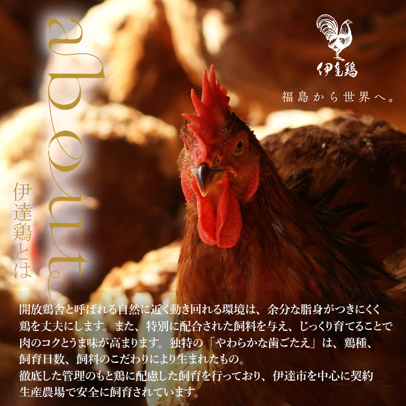 福島県 伊達市産 旨味と肉質がしっかり！ 伊達鶏 手羽元 2kg  銘柄鶏  ブランド鶏 鶏肉 手羽 とり肉 だてどり ブランド鶏   おつまみ 鶏 チキン 肉 食品 F20C-230