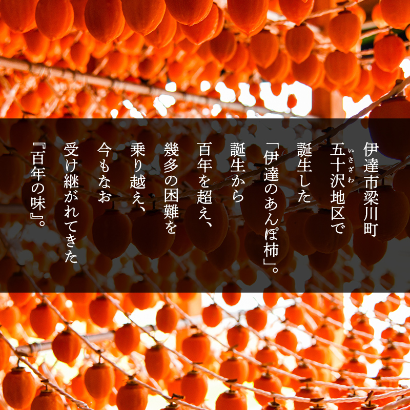 五十沢のあんぽ柿 230g×5パック あんぽがき かき ドライフルーツ フルーツ 果物 くだもの 福島県産 国産  柿 デザート 果実 食品 F20C-249