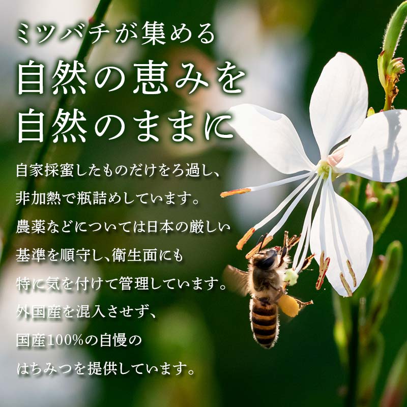 はちみつ米5kgとアカシアはちみつ50gセット 伊達市産 国産 天然 蜂蜜 ハチミツ ハニー お米 F21C-163