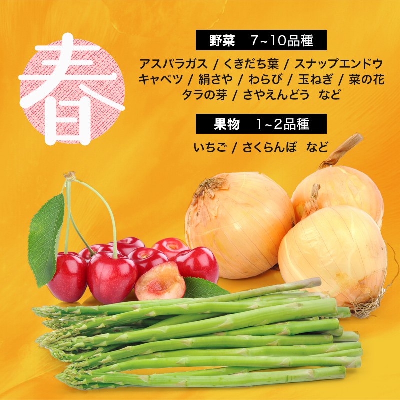 季節の定期便4回 伊達なお野菜とフルーツの詰め合わせ  野菜 セット 詰め合わせ 詰合せ 食品 F20C-491