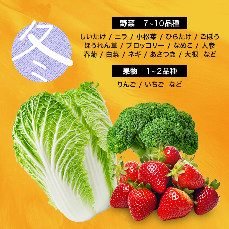 伊達なお野菜とフルーツの詰め合わせ（冬）  野菜 セット 詰め合わせ 詰合せ 食品 F20C-493